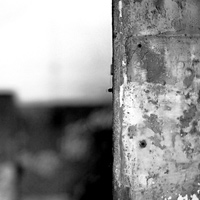 monochrome