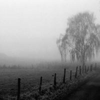 monochrome