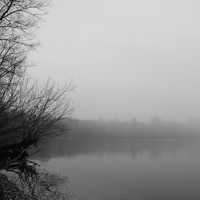 monochrome