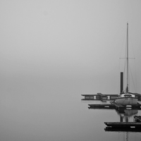 monochrome