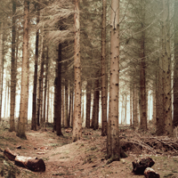 Natur