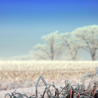 Natur