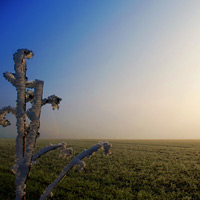 Natur