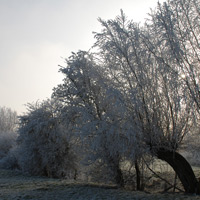 Natur