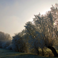 Natur