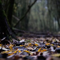 Natur