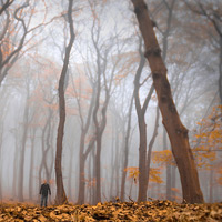 Natur