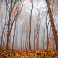 Natur