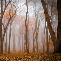 Natur