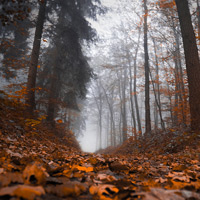 Natur