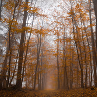 Natur