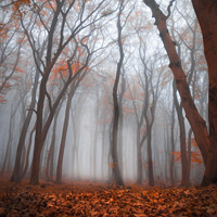 Natur