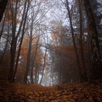 Natur