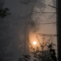 Natur