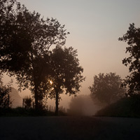 Natur