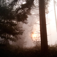 Natur