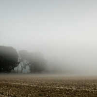 Natur
