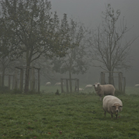 Natur