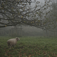 Natur
