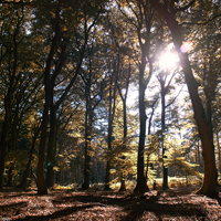 Natur
