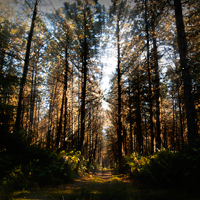 Natur