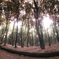 Natur