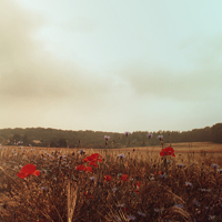 Natur