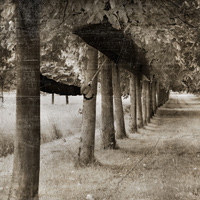 skurrieal